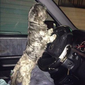 Meet your Posher, Philopater